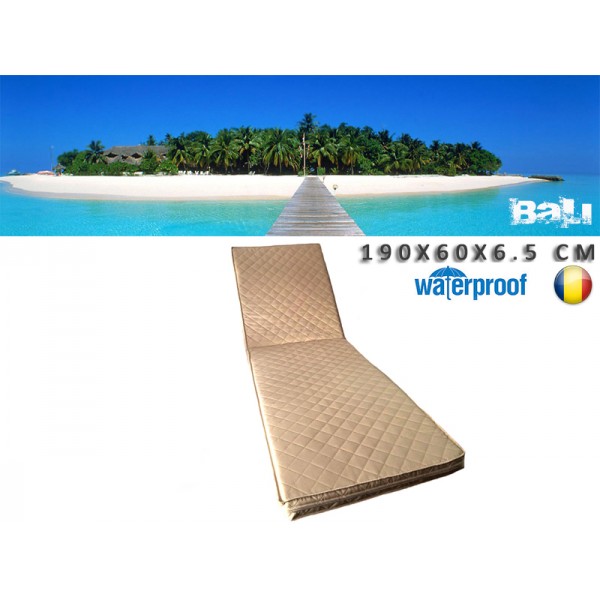 Saltea Premium-Bali Standard